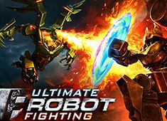 Ultimate Robot Fighting game